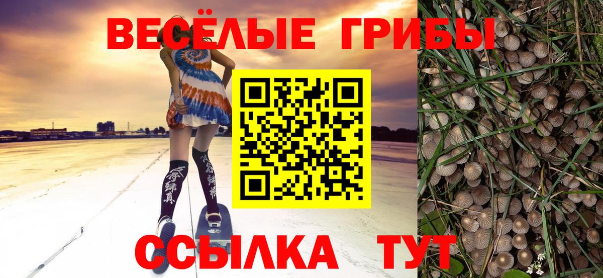 Псилоцибиновые грибы мухоморы Фурманов